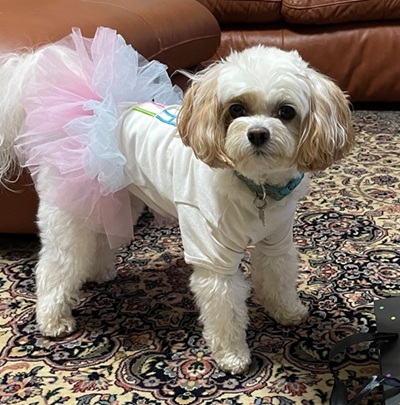 Zoey